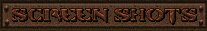 Screenshots button